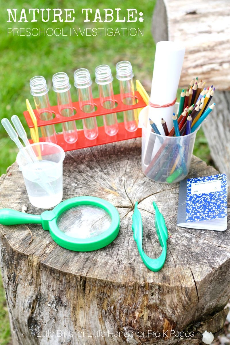 Science For Kids: Nature Investigation Table | Science For