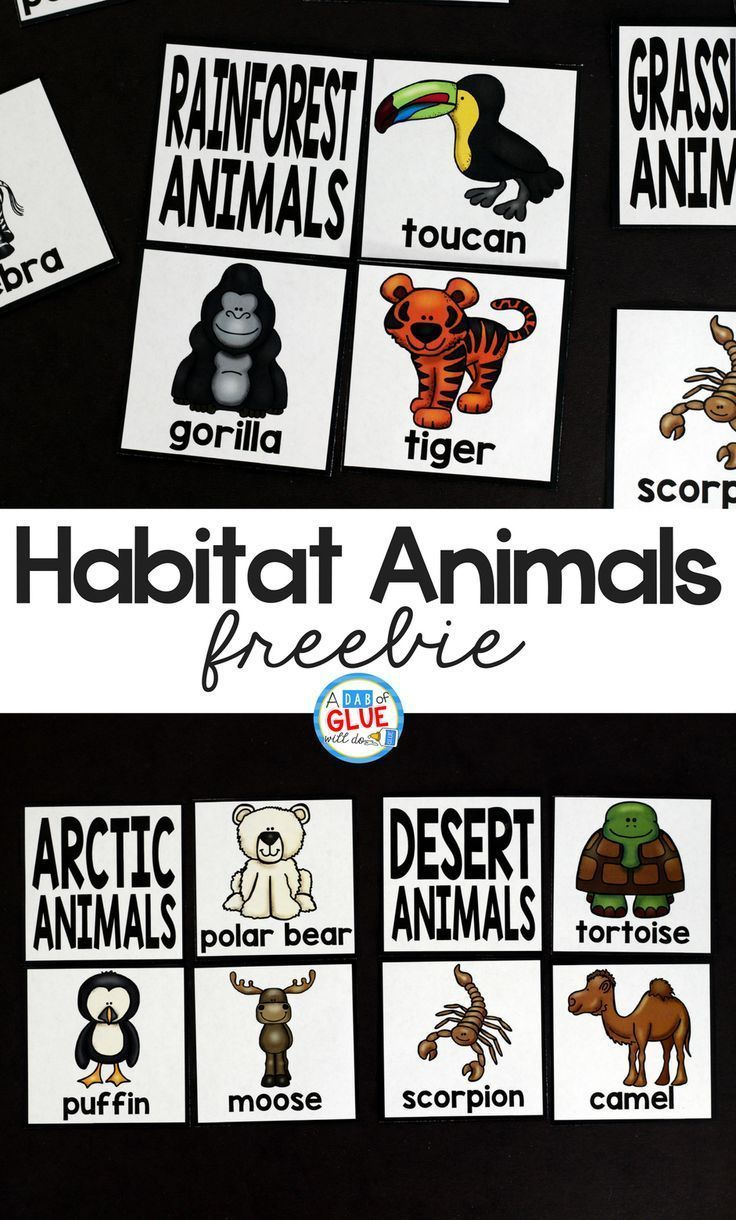 Science Lesson Plans - Habitat Puzzles Printable – Science