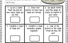 3rd Grade Fossil Lesson Plans