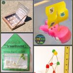 Science & Stem Ideas For The Entire Year | Kindergarten