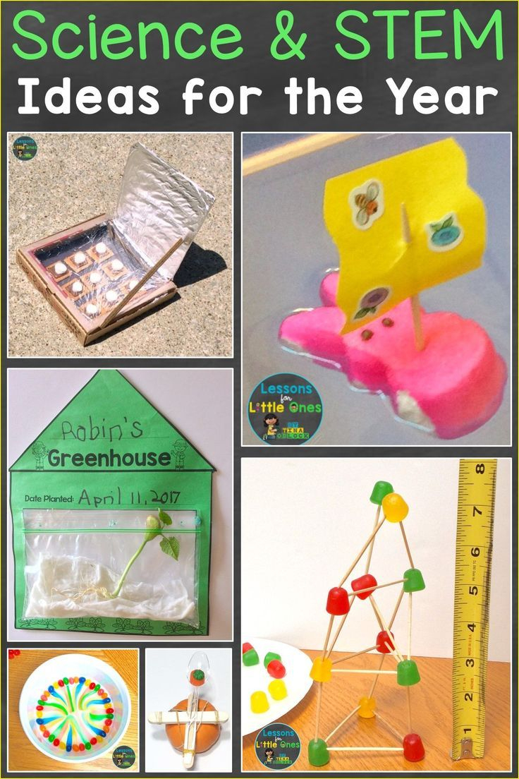 Science &amp;amp; Stem Ideas For The Entire Year | Kindergarten