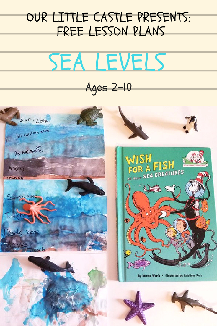 Sea Life Day One: Ocean Levels Lesson Plan | Ocean Lesson