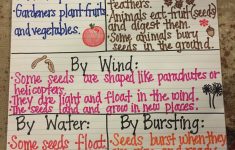 Seed Lesson Plans 3rd Grade