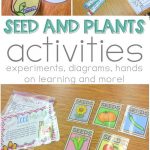 Seed Plant Life Cycle Activities | Tiny Seed Activities