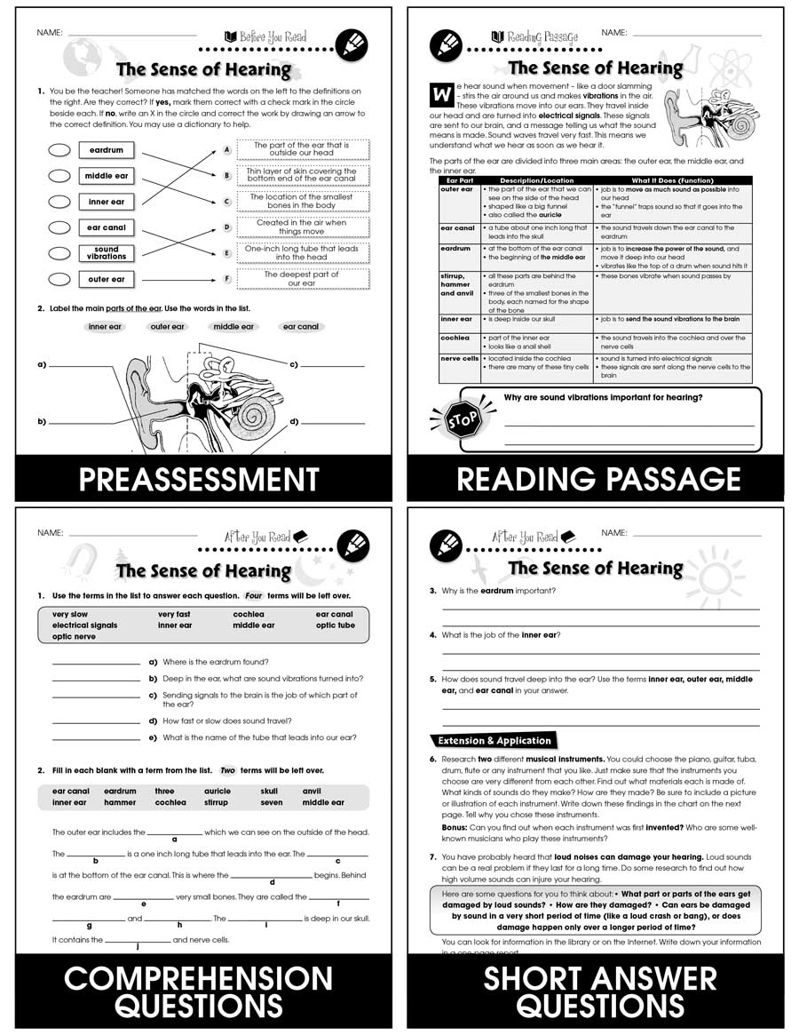 Senses, Nervous &amp;amp; Respiratory Systems - Grades 5 To 8