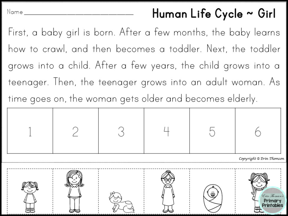 Sequencing Stories ~ Human Life Cycle | Human Life Cycle