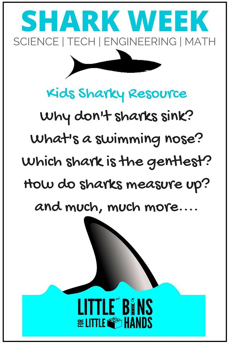 Shark Activities For Preschoolers And Beyond! | Shark