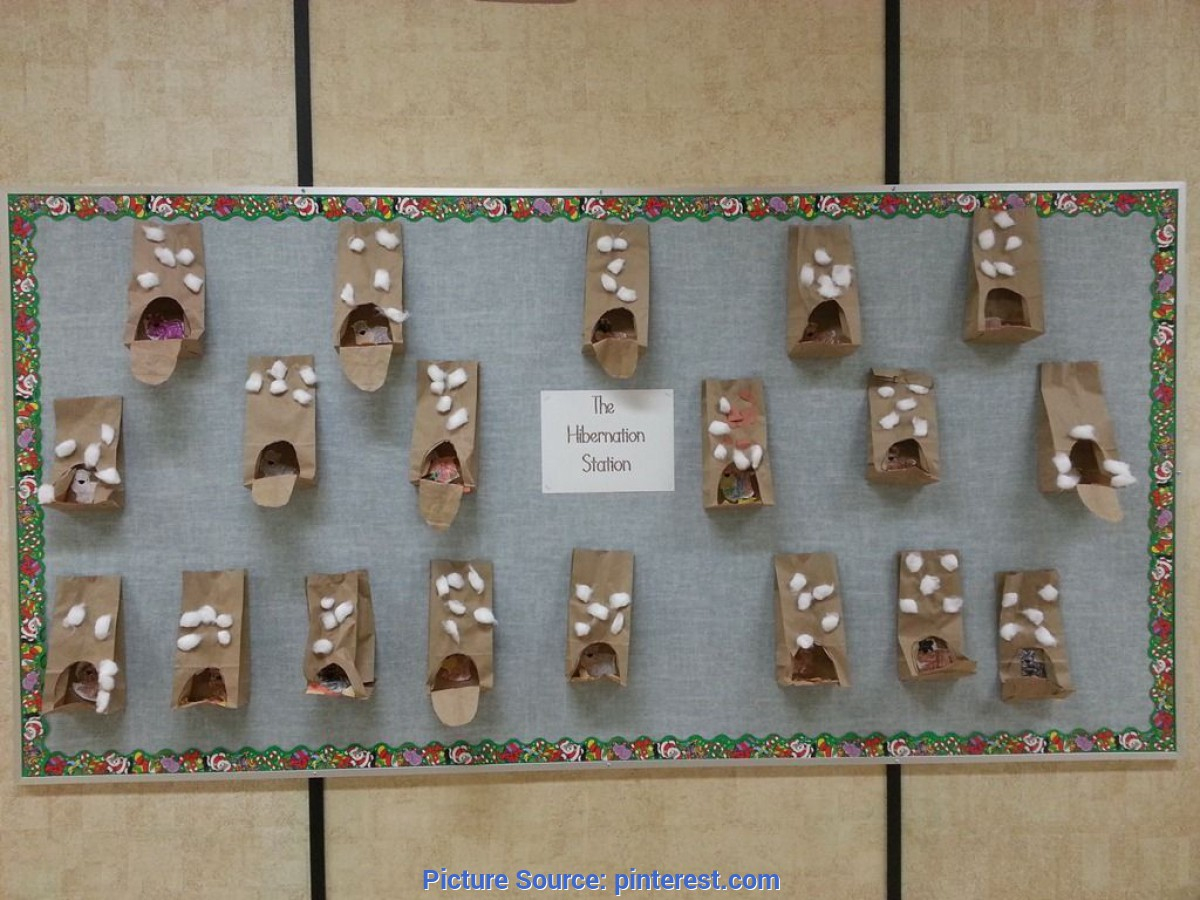 Simple Preschool Lesson Plans Hibernation Image Result For