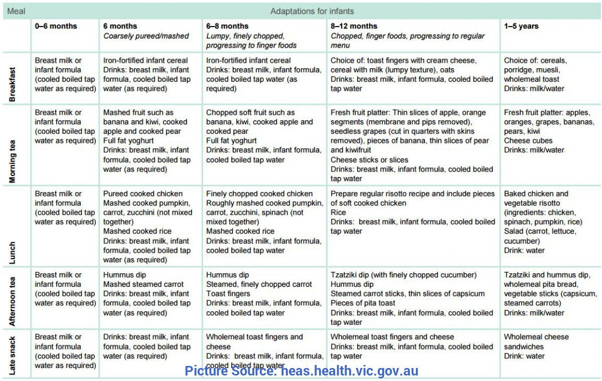 Simple Program Planning For Infants And Toddlers Menu