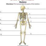 Skeleton Labeling Page | Skeletal System Activities
