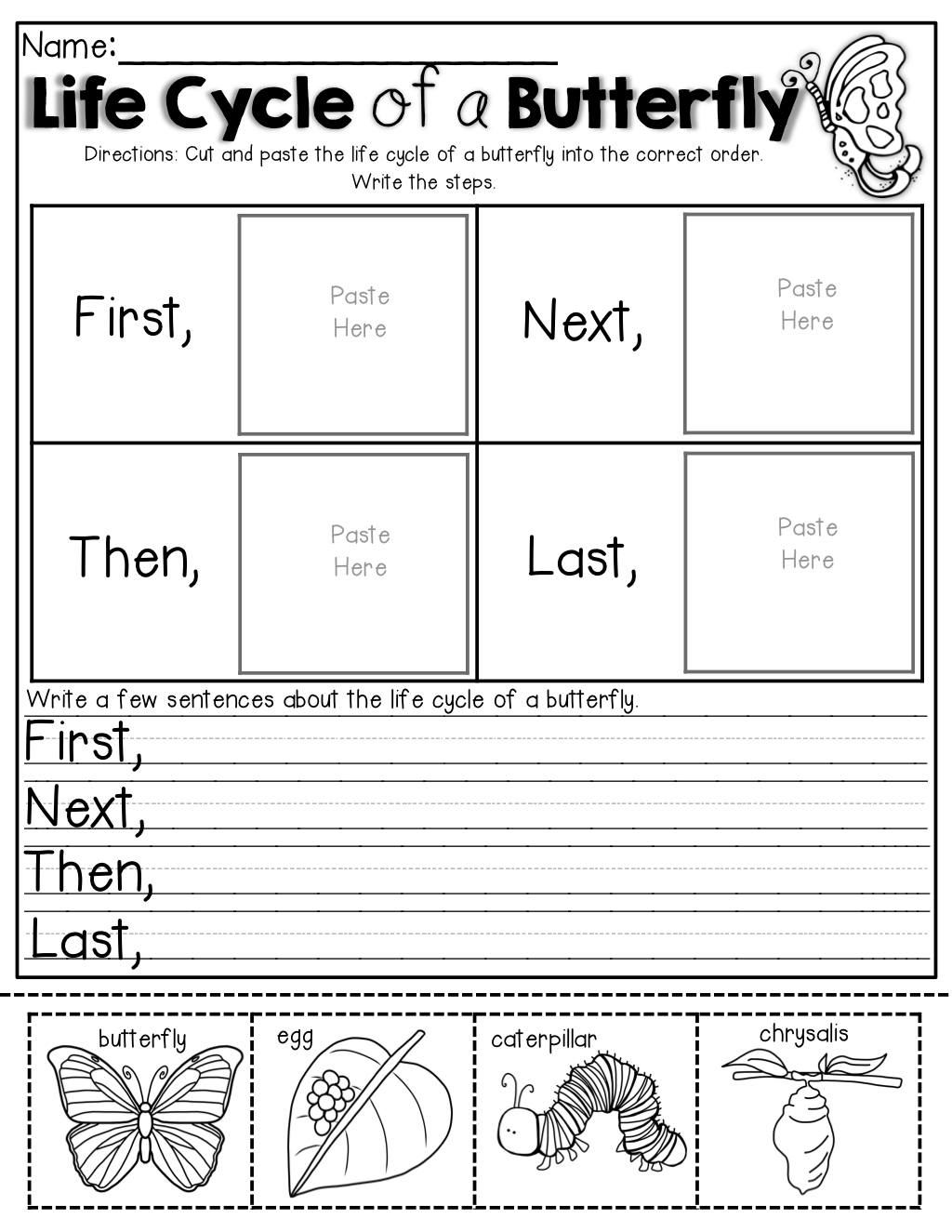 Spring Math And Literacy (1St Grade) | Science Lessons, 1St