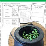 St. Patrick's Day Cross Curricular Lesson Plans | Cross