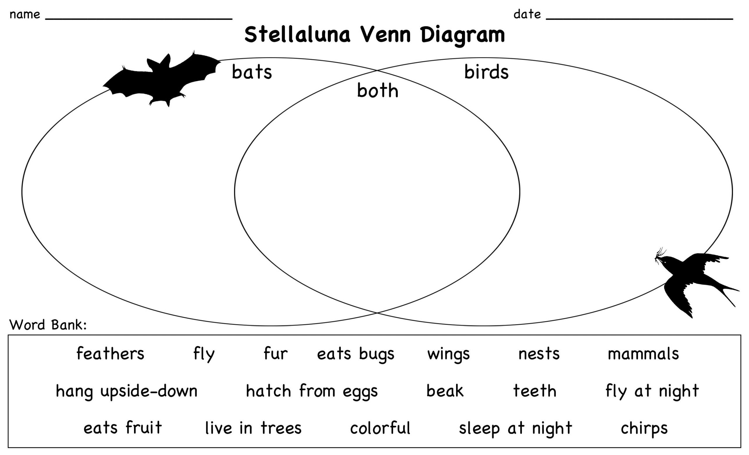 Stellaluna Venn Diagram Lesson | Stellaluna, Venn Diagram