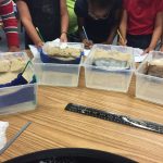 Stem Day  Weathering And Erosion | Weathering And Erosion