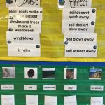 Teach And Practice Cause & Effect With Soil Erosion