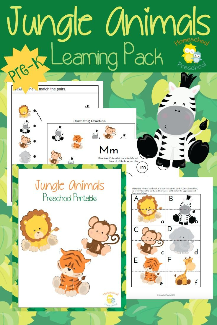 Teach Preschool With Free Jungle Animal Printables