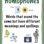 Teaching Homophones   Make Take & Teach