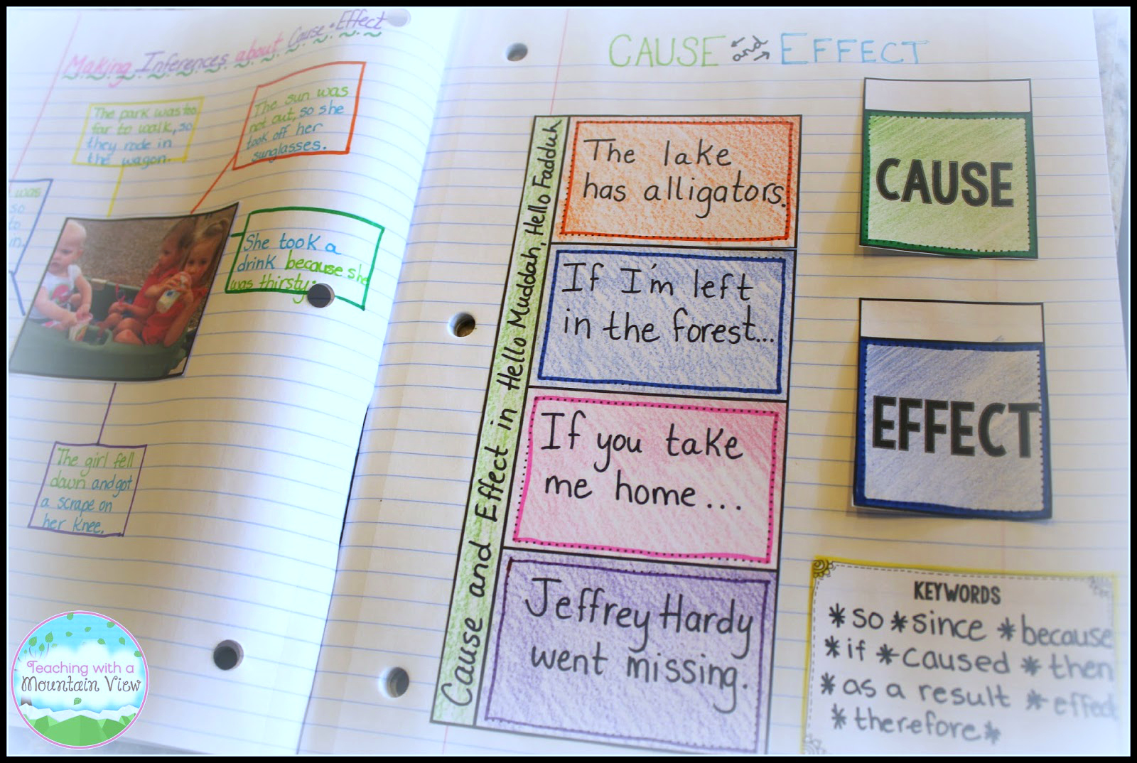 Cause And Effect Lesson Plan 3rd Grade Lesson Plans Learning