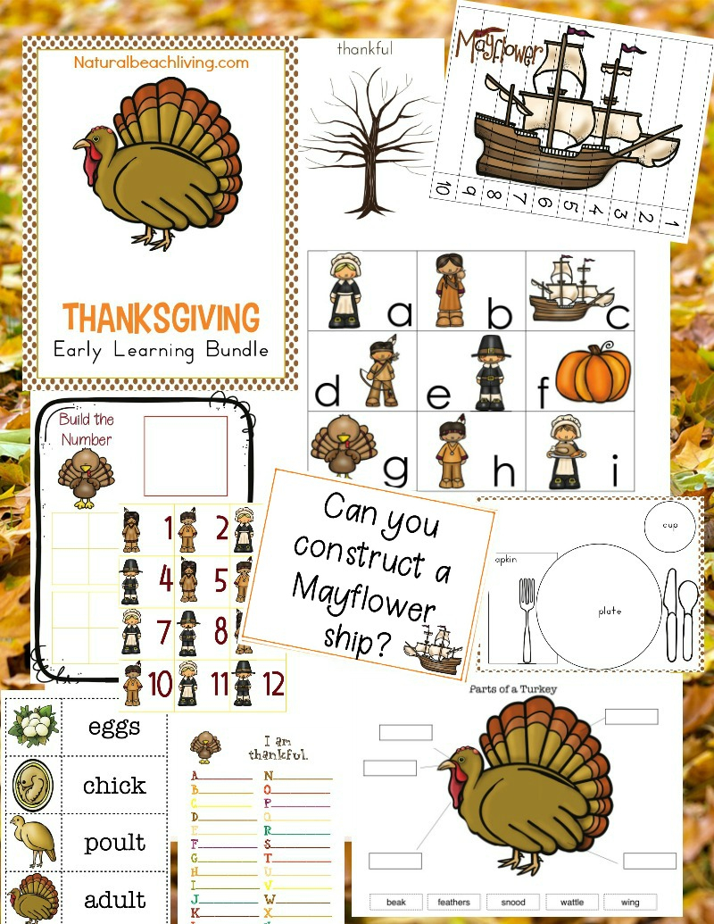 Thanksgiving Kindergarten And Preschool Theme Lesson Plan