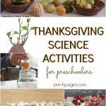 Thanksgiving Science Activities For Preschoolers   Pre K Pages