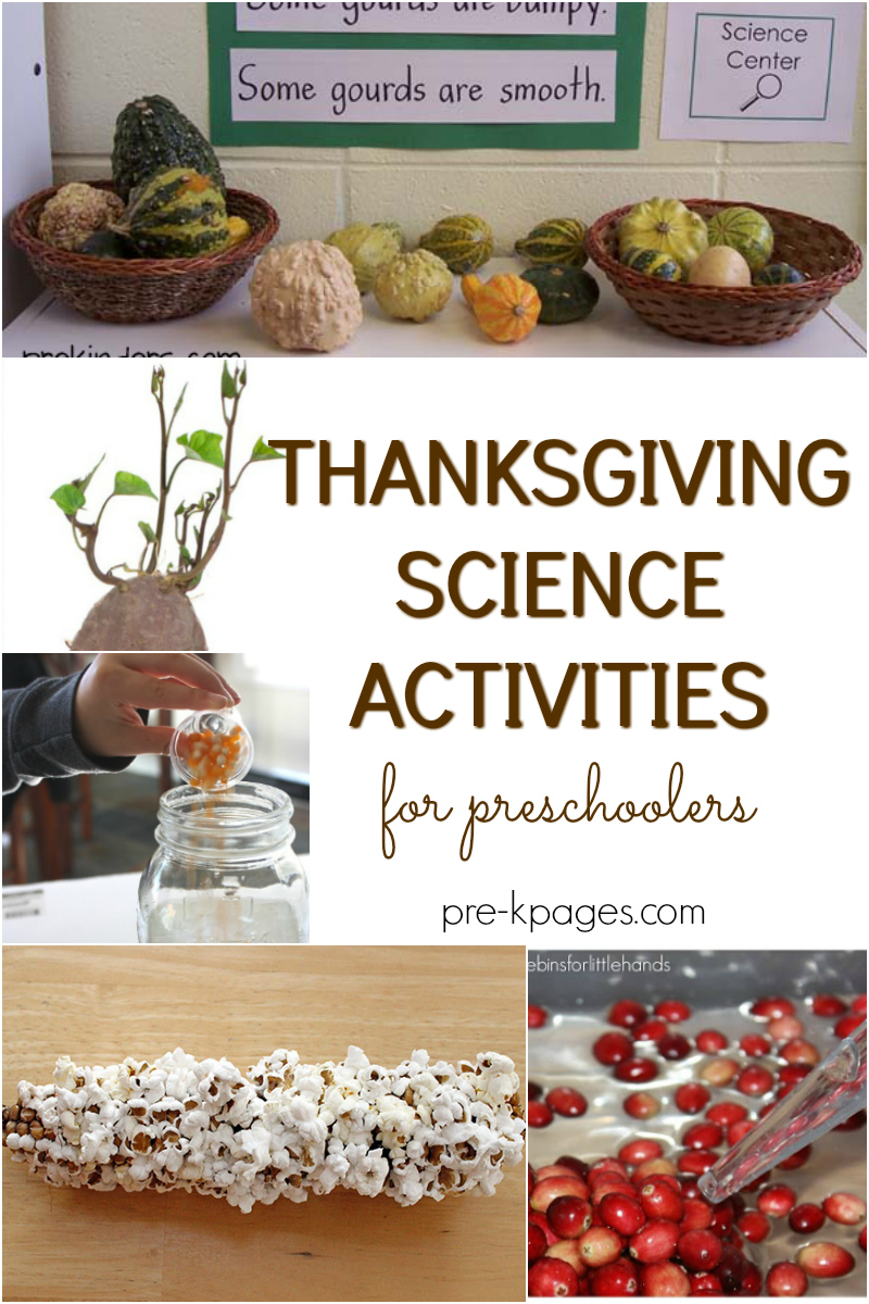 Thanksgiving Science Activities For Preschoolers - Pre-K Pages