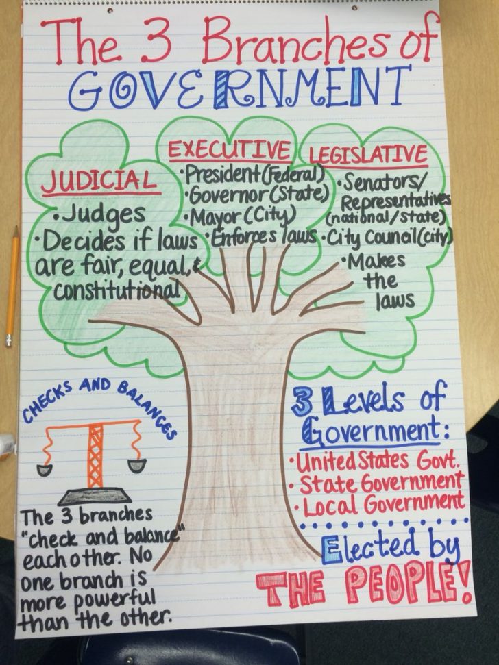 The 3 Branches Of Government Anchor Chart Third Grade 1 728x971 