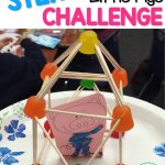 The 3 Little Pigs  Stem Challenge!!