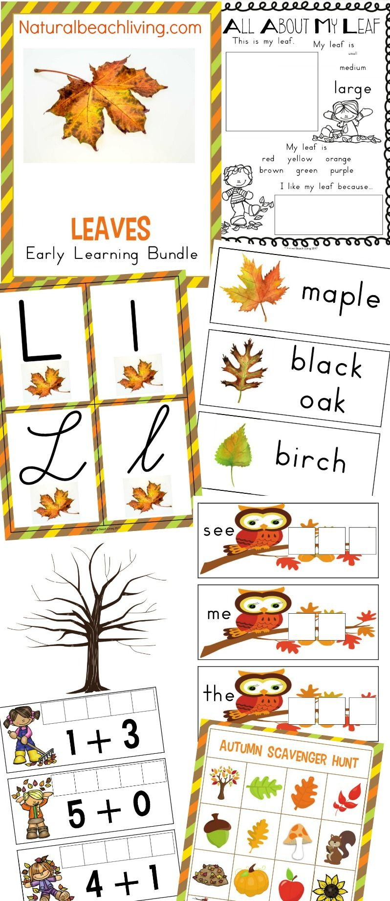 The Best Kindergarten And Preschool Leaf Theme Lesson Plan