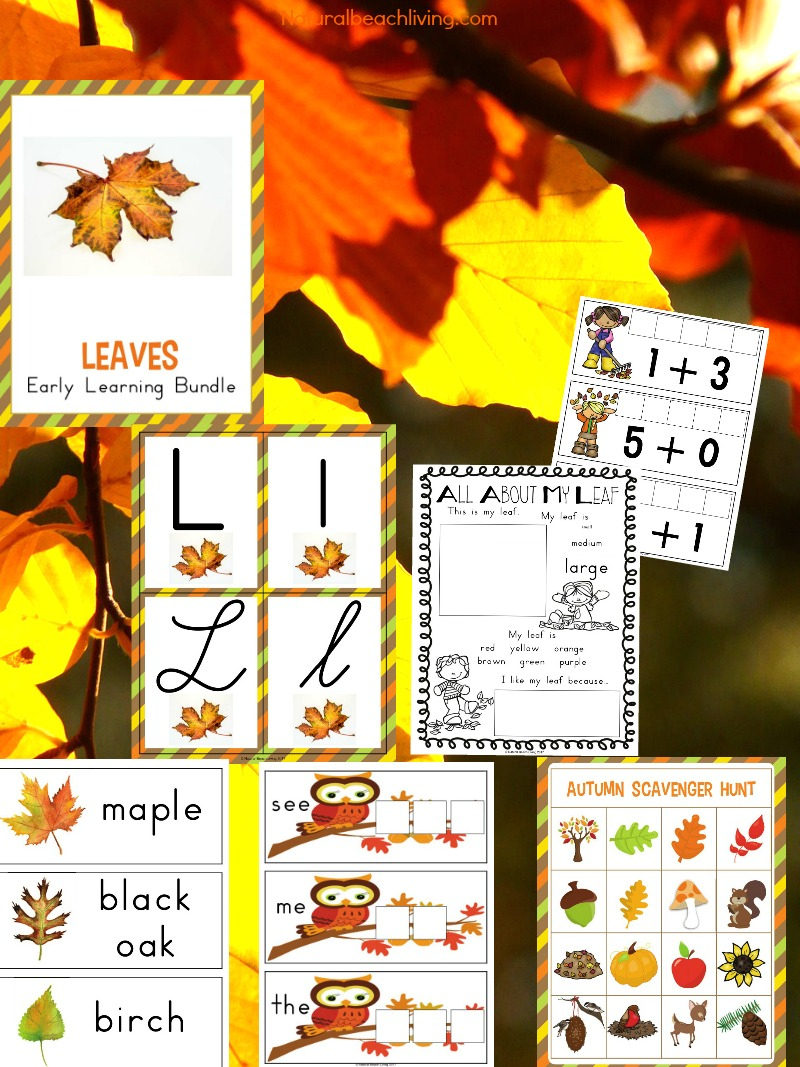 The Best Kindergarten And Preschool Leaf Theme Lesson Plan