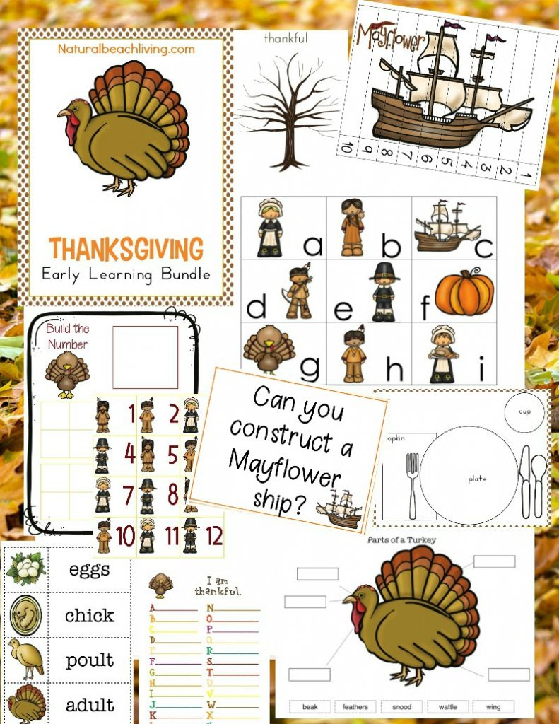 The Best Kindergarten And Preschool Thanksgiving Theme