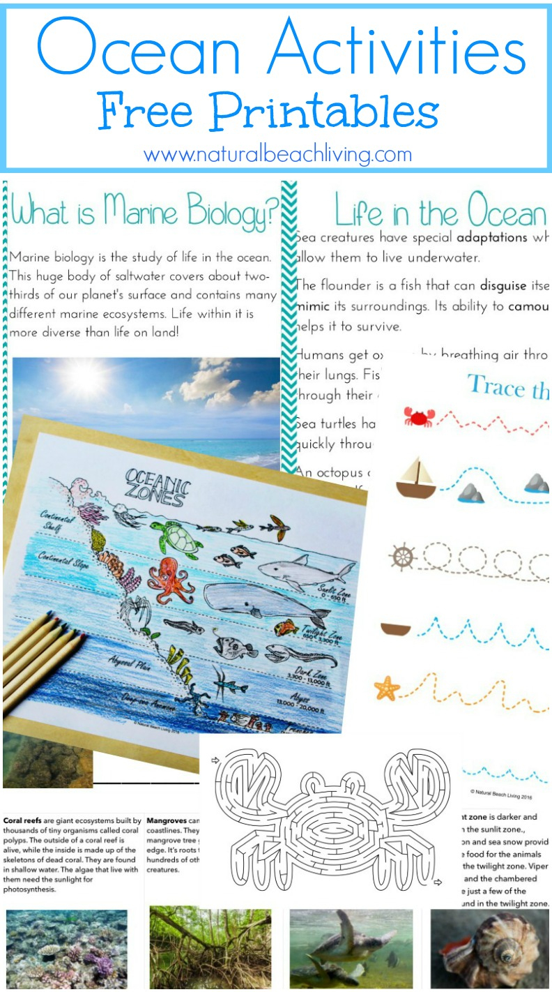 The Best Ocean Unit Study For Kids - Ocean Lesson Plans