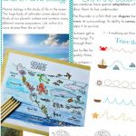 The Best Ocean Unit Study For Kids   Ocean Lesson Plans