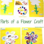 The Best Parts Of A Flower Craft For Kids | Kindergarten