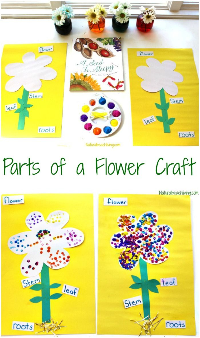 The Best Parts Of A Flower Craft For Kids | Kindergarten