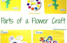 The Best Parts Of A Flower Craft For Kids | Kindergarten