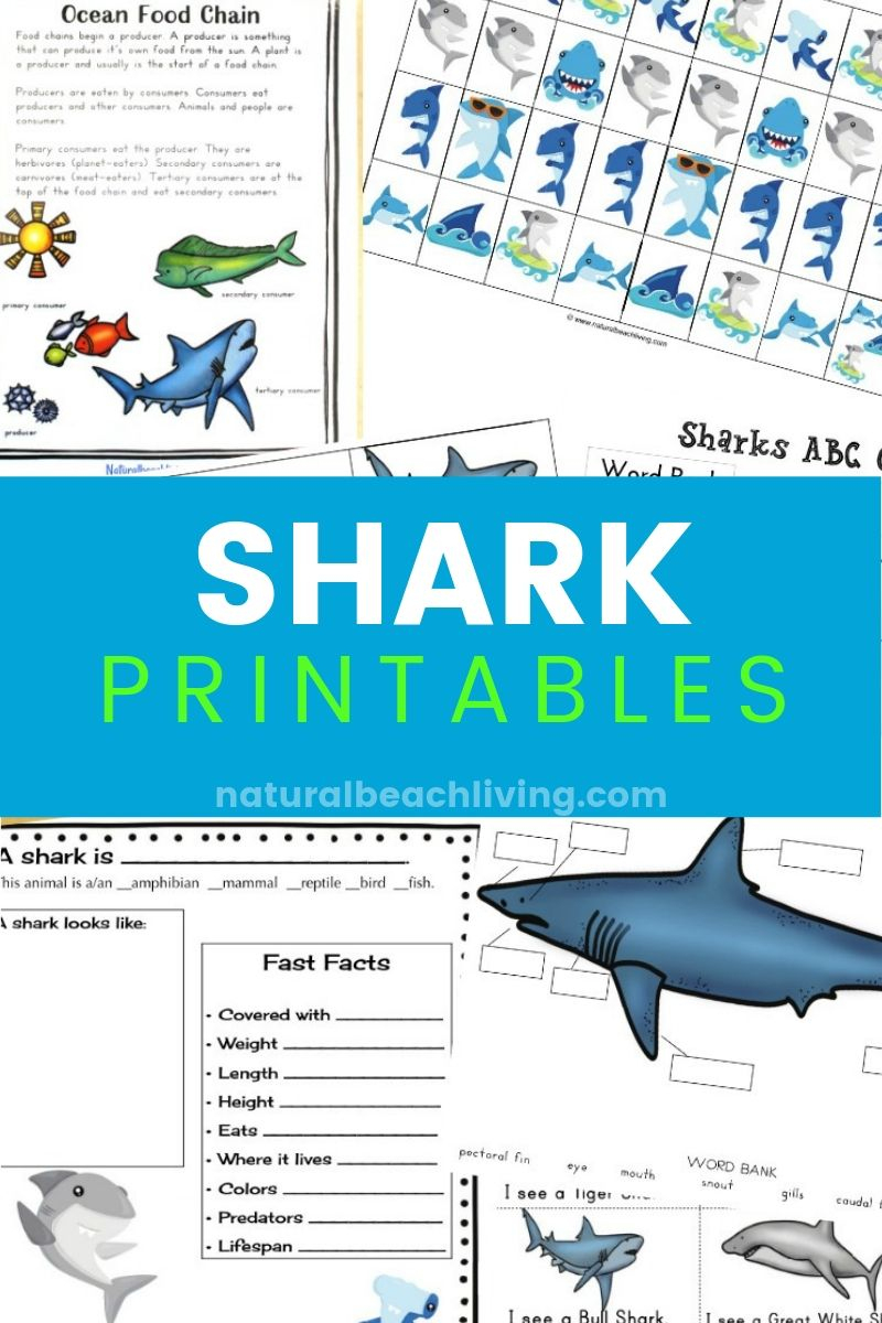 The Best Shark Printable Activities For Kids - Shark Lesson