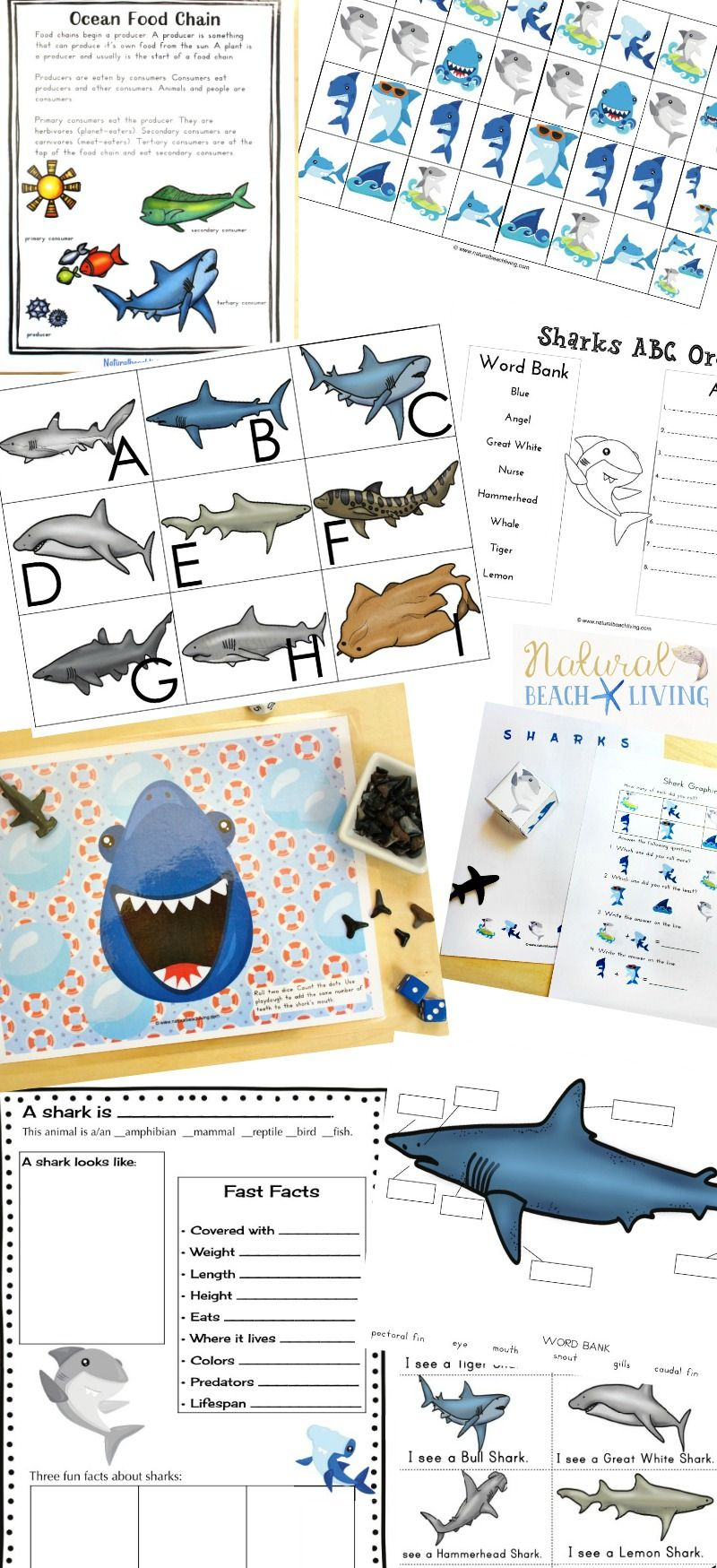 The Best Shark Printable Activities For Kids - Shark Lesson