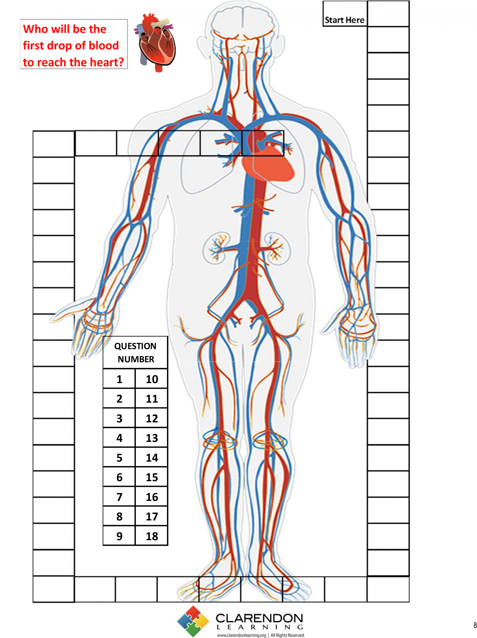 The Circulatory System Lesson Plan Clarendon Learning