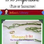 The Great Plan Of Happiness   Object Lesson | Object Lessons