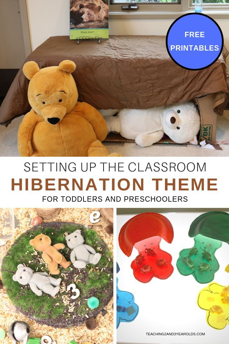 The Hibernation Theme For Toddlers And Preschoolers