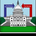 The Legislative Branch | Legislative Branch, Legislative