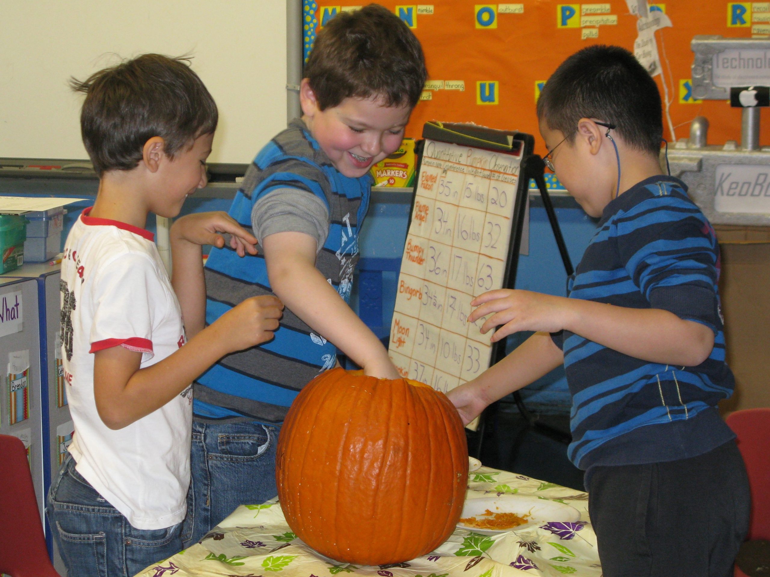 The Pumpkin Project: Math, Science, And Fun! | Scholastic