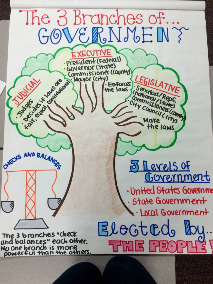 The Three Branches Of Government- 3Rd Grade … | Social