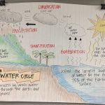 The Water Cycle Anchor Chart | Science Anchor Charts, Water