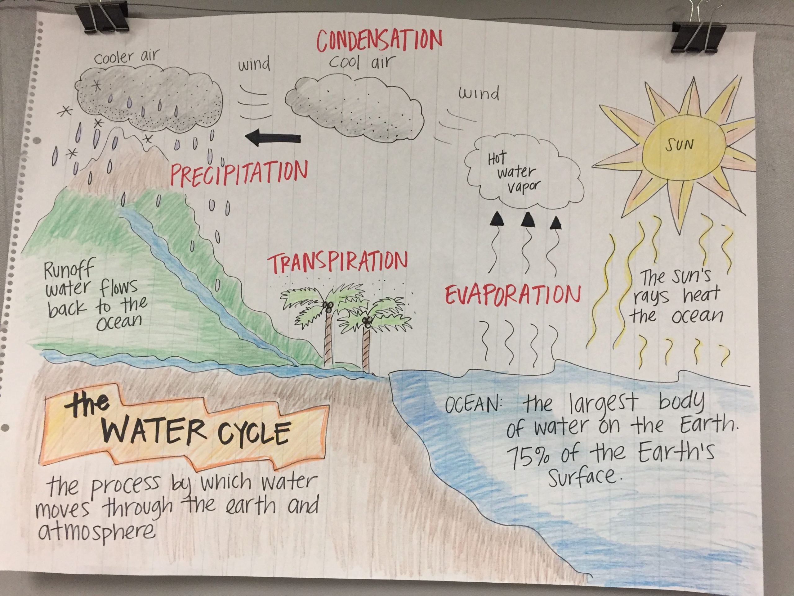 The Water Cycle Anchor Chart | Science Anchor Charts, Water