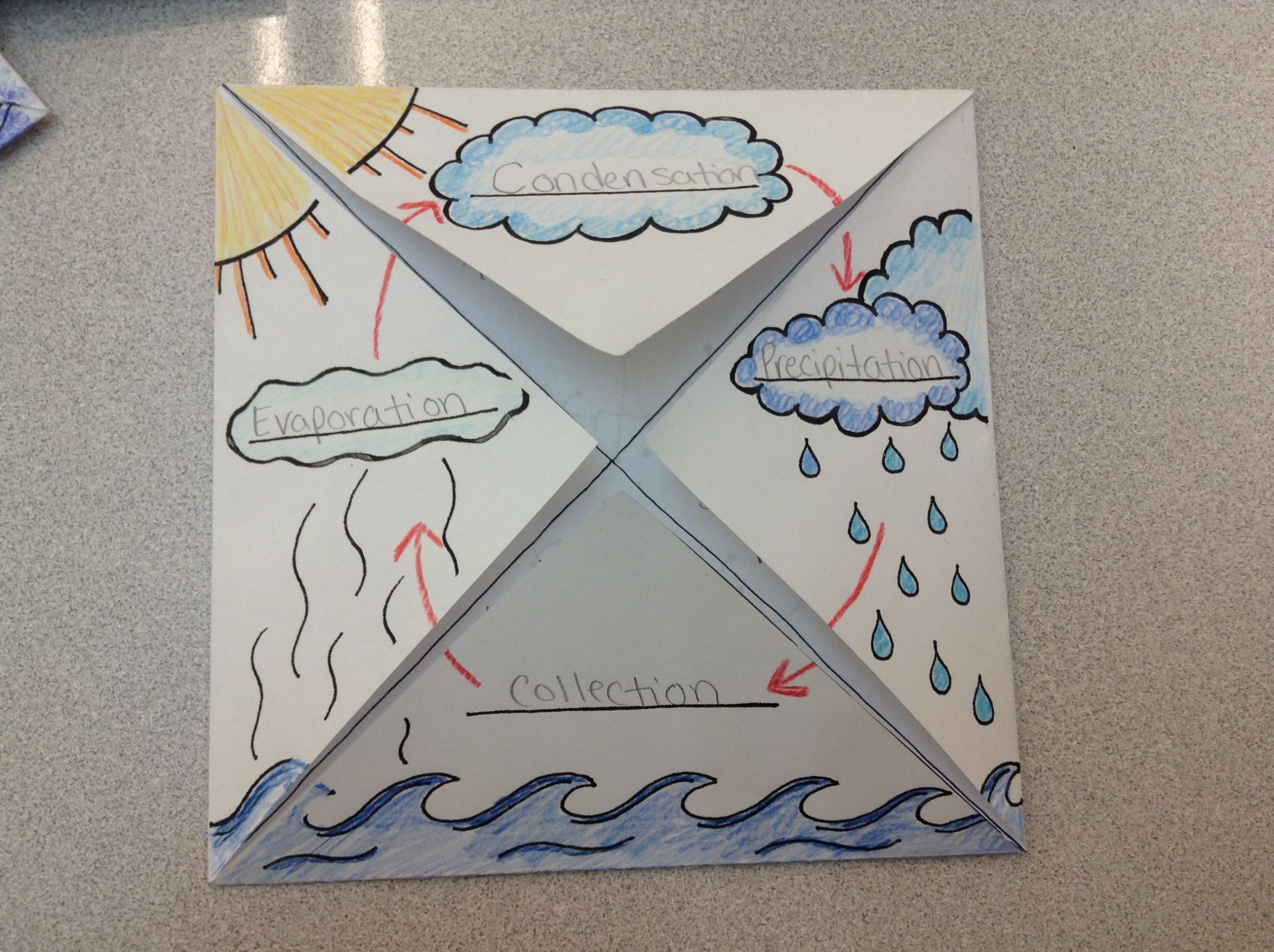 The Water Cycle Foldable/graphic Organizer. 2Nd Grade (With