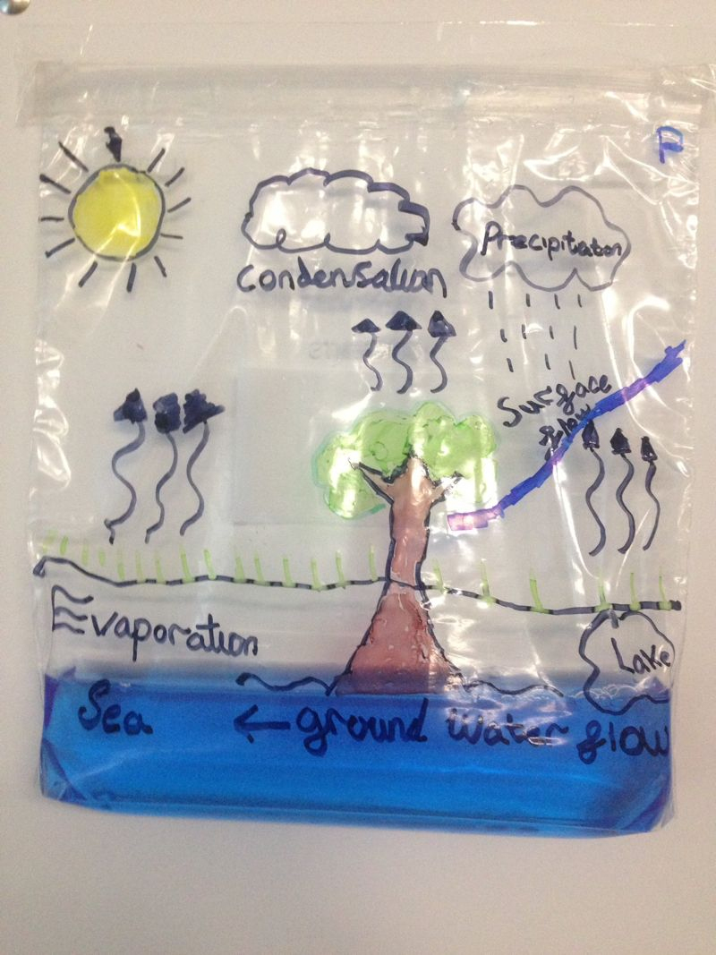 The Water Cycle | Science Activities For Kids, Water Cycle