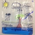 The Water Cycle | Water Cycle, Science Activities For Kids