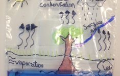Water Cycle Lesson Plans For Preschoolers