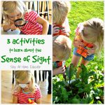 Three Activities To Learn About The Sense Of Sight | Senses